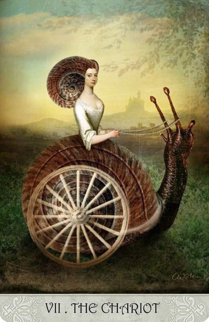 The Chariot — Tarot of Mystical Moments