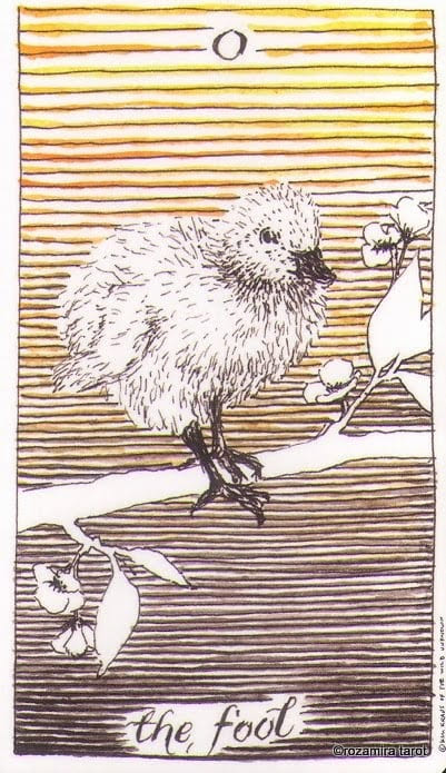 The Fool — The Wild Unknown Tarot