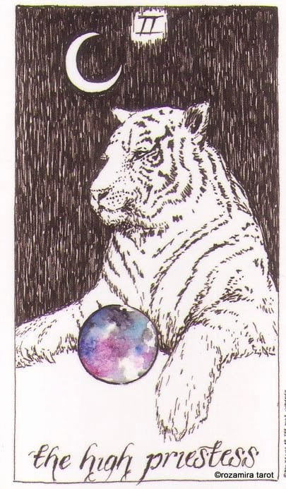 The High Priestess — The Wild Unknown Tarot