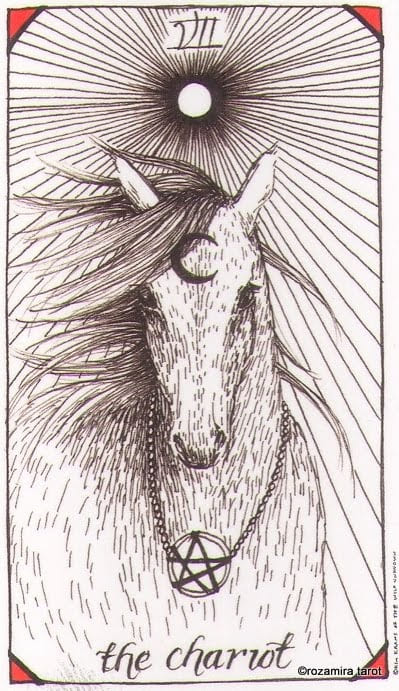 The Chariot — The Wild Unknown Tarot