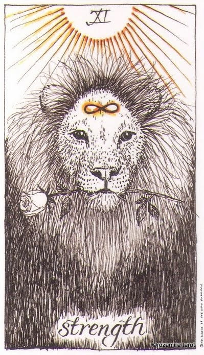 Strength — The Wild Unknown Tarot