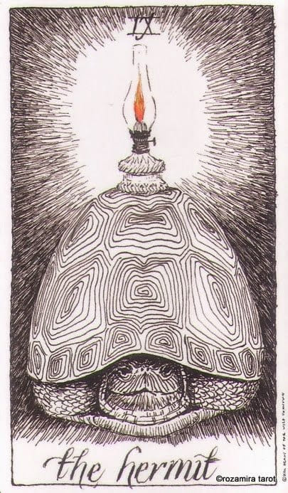 The Hermit — The Wild Unknown Tarot