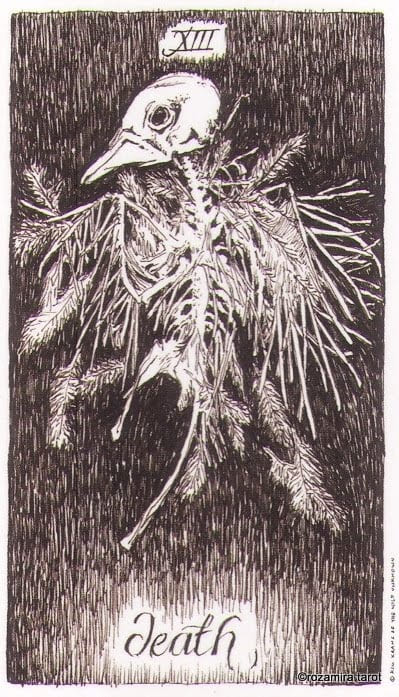 Death — The Wild Unknown Tarot