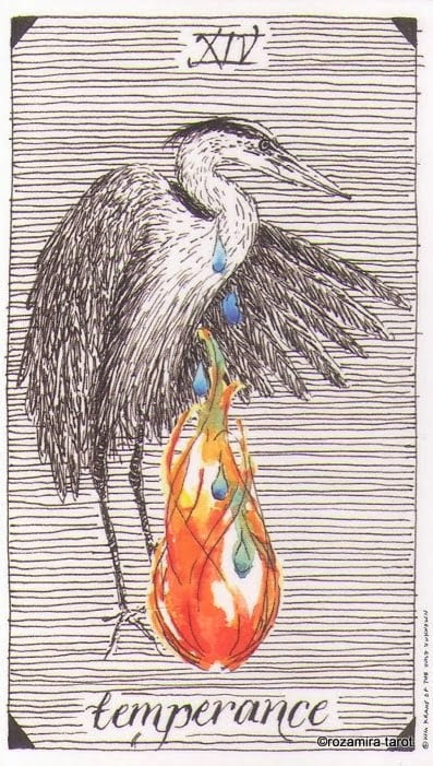 Temperance — The Wild Unknown Tarot