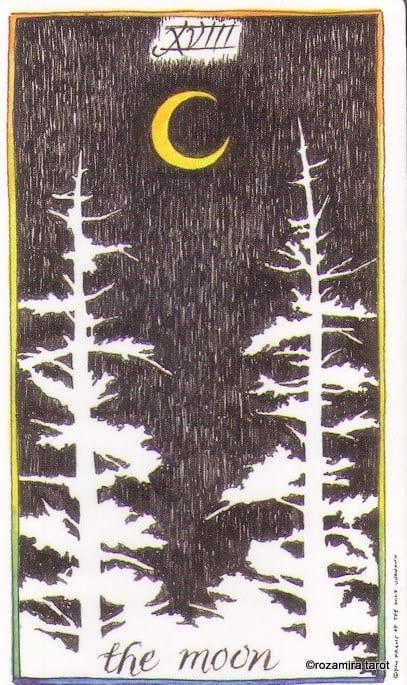 The Moon — The Wild Unknown Tarot