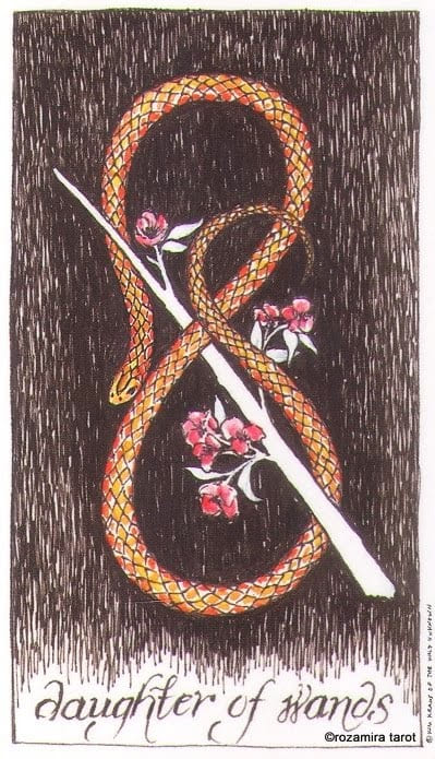Page of Wands — The Wild Unknown Tarot