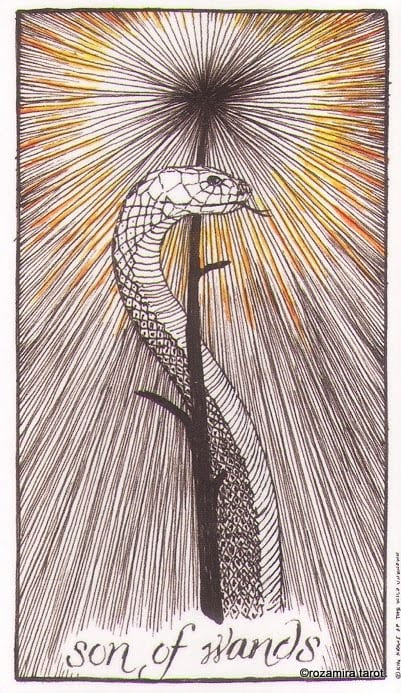 Knight of Wands — The Wild Unknown Tarot