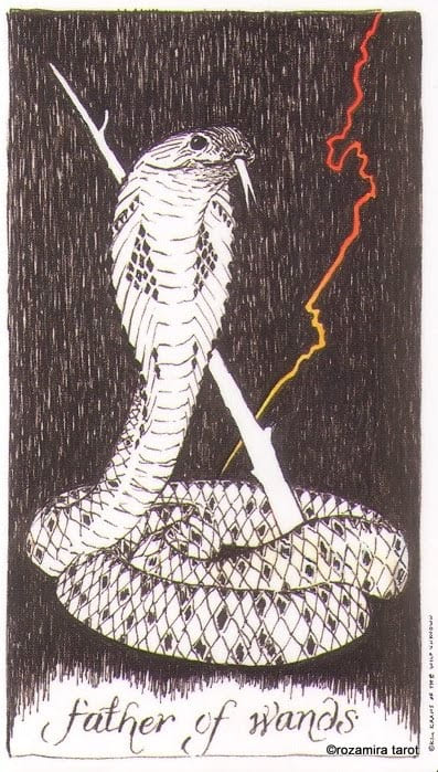 King of Wands — The Wild Unknown Tarot