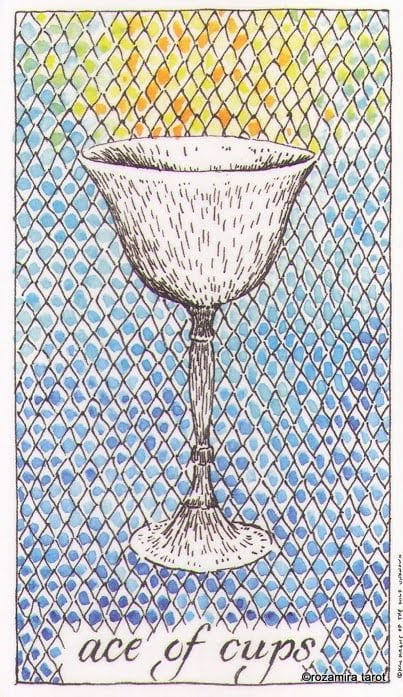 Ace of Cups — The Wild Unknown Tarot