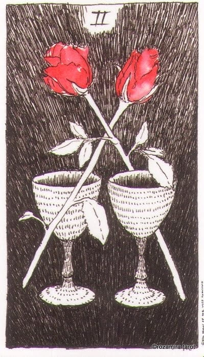Two of Cups — The Wild Unknown Tarot