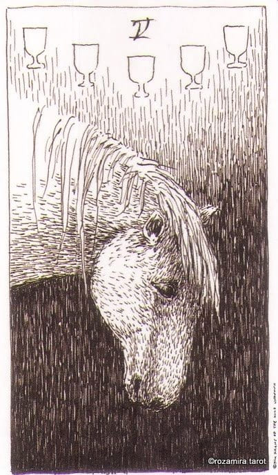 Five of Cups — The Wild Unknown Tarot