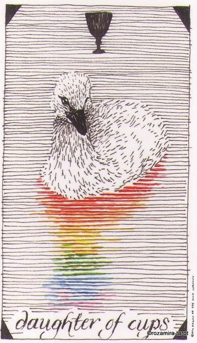Page of Cups — The Wild Unknown Tarot