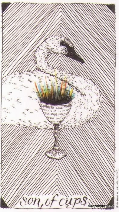 Knight of Cups — The Wild Unknown Tarot