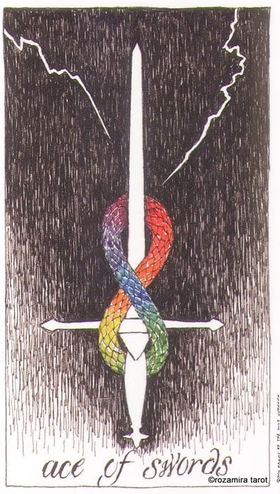 Ace of Swords — The Wild Unknown Tarot