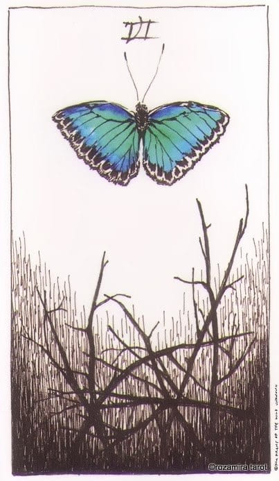 Six of Swords — The Wild Unknown Tarot