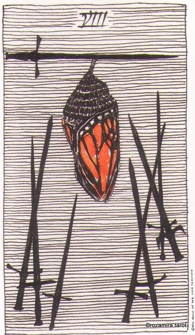 Eight of Swords — The Wild Unknown Tarot