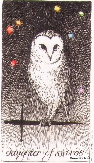 Page of Swords — The Wild Unknown Tarot