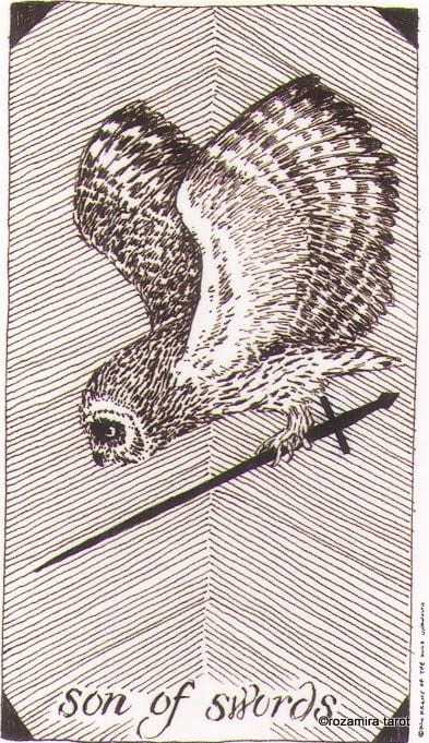 Knight of Swords — The Wild Unknown Tarot