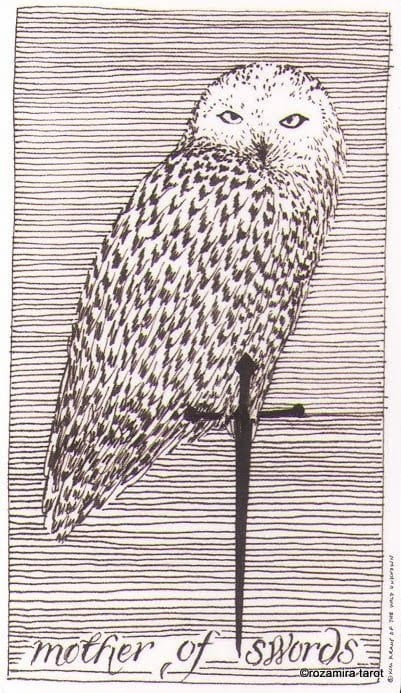 Queen of Swords — The Wild Unknown Tarot