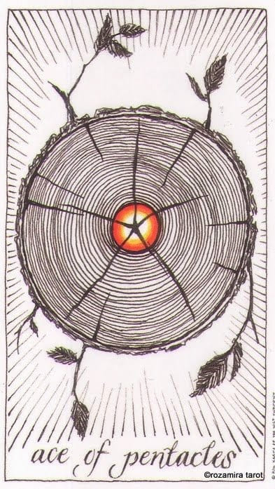 Ace of Pentacles — The Wild Unknown Tarot