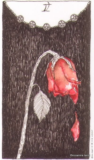 Five of Pentacles — The Wild Unknown Tarot