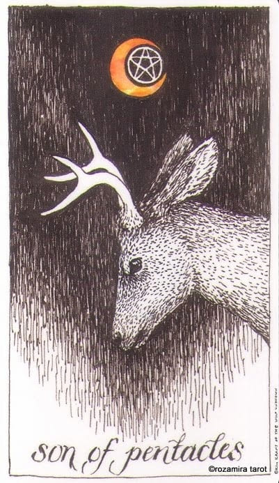 Knight of Pentacles — The Wild Unknown Tarot
