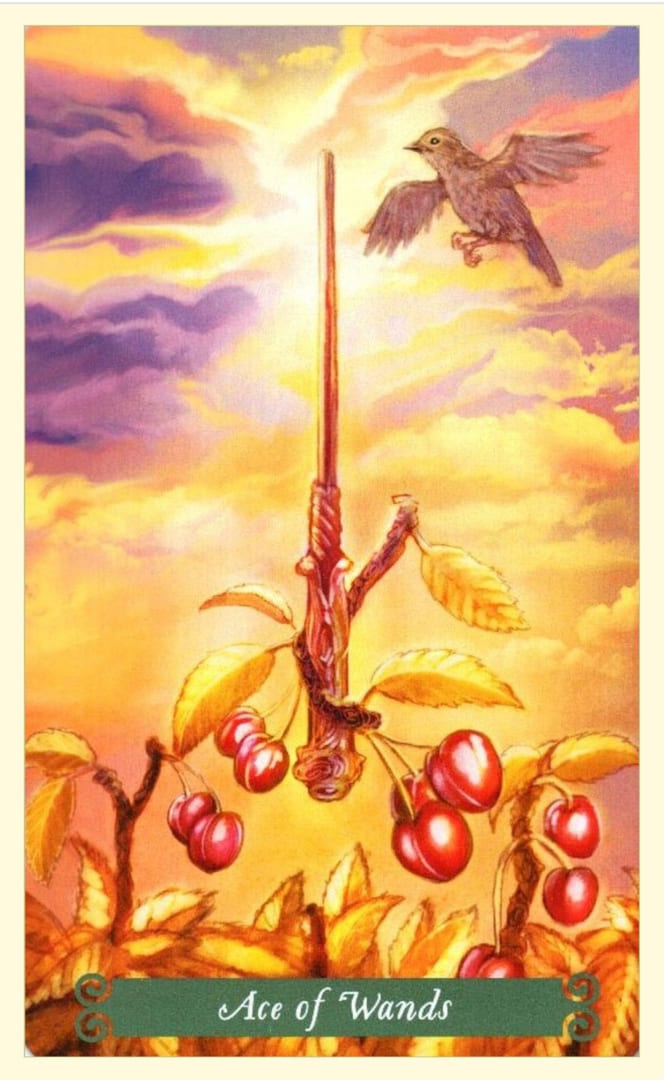 Ace of Wands — The Green Witch Tarot