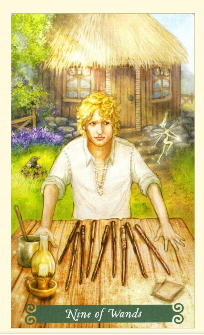 Nine of Wands — The Green Witch Tarot