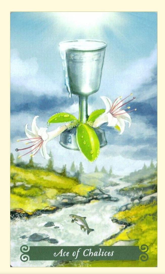 Ace of Cups — The Green Witch Tarot
