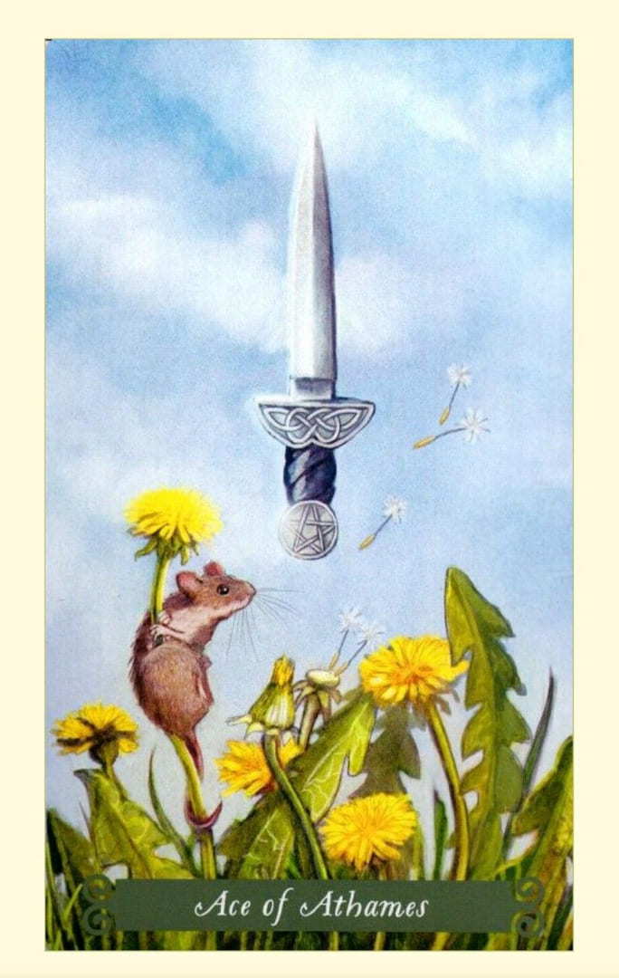 Ace of Swords — The Green Witch Tarot