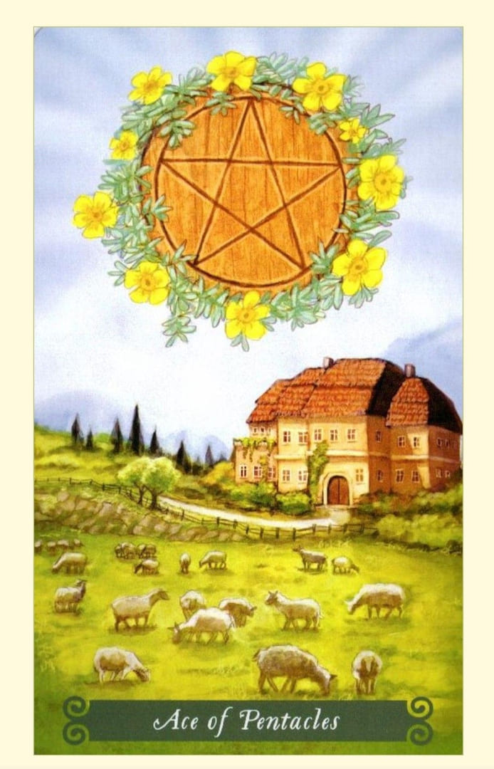 Ace of Pentacles — The Green Witch Tarot