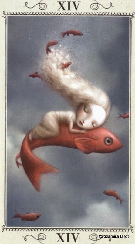 Temperance — Nicoletta Ceccoli Tarot Card Meanings