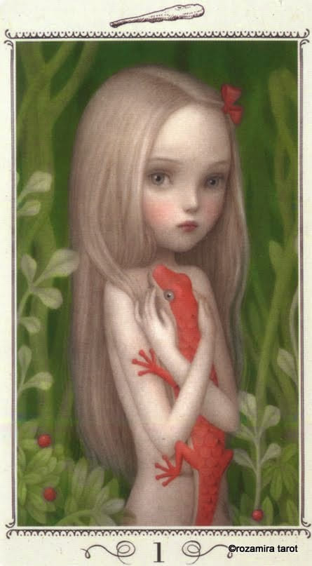 Ace of Wands — Nicoletta Ceccoli Tarot Card Meanings
