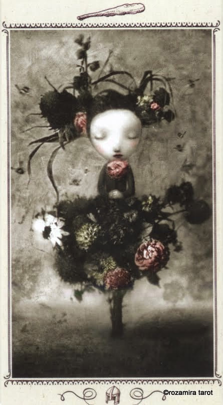 Page of Wands — Nicoletta Ceccoli Tarot Card Meanings
