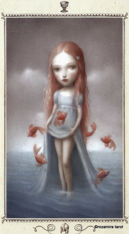Page of Cups — Nicoletta Ceccoli Tarot Card Meanings