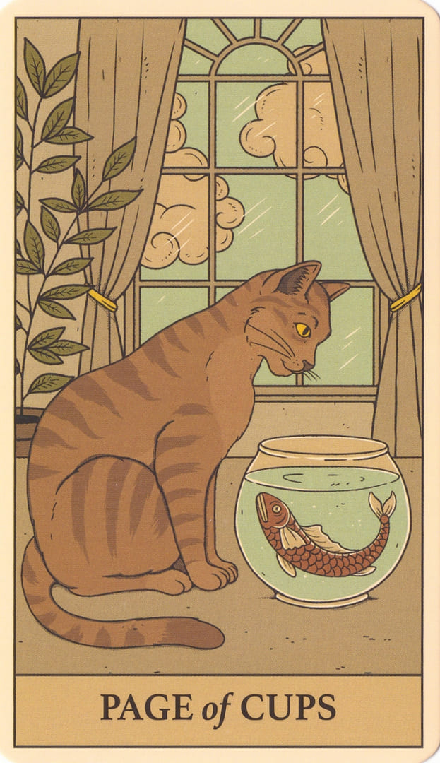 Паж чаш — Cats Rule the Earth Tarot