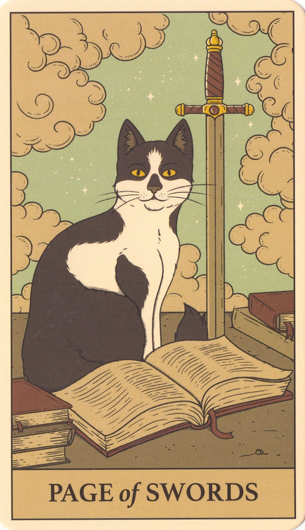Паж мечей — Cats Rule the Earth Tarot