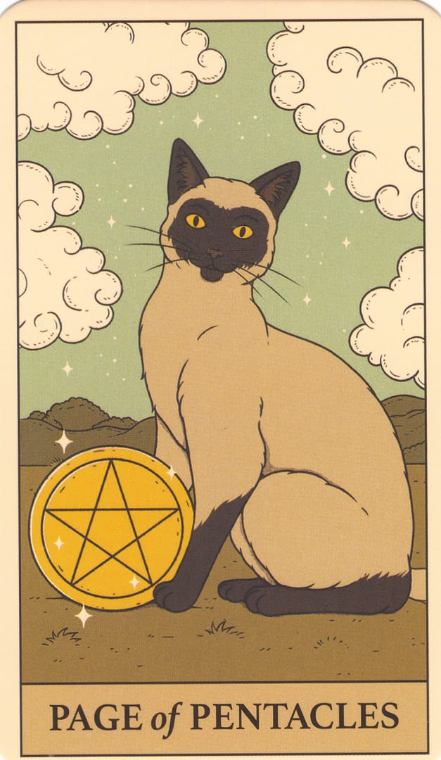 Page of Pentacles — Cats Rule the Earth Tarot