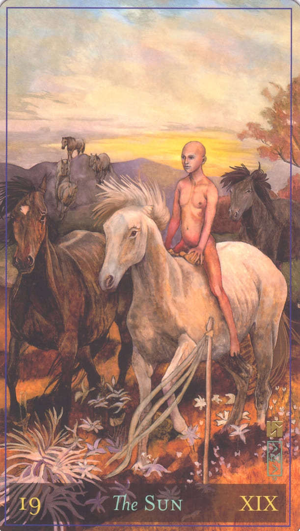 The Sun — Divine Masculine Tarot