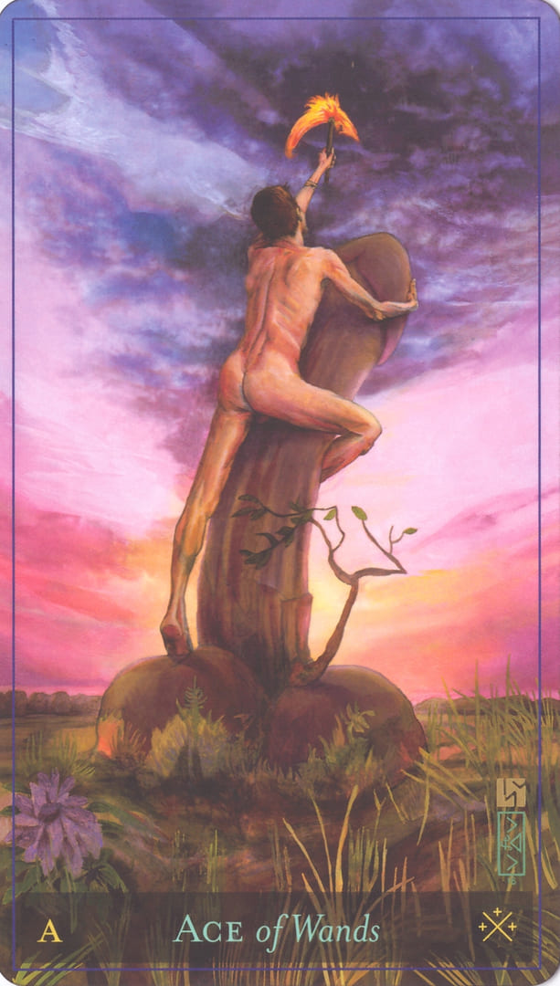 Ace of Wands — Divine Masculine Tarot