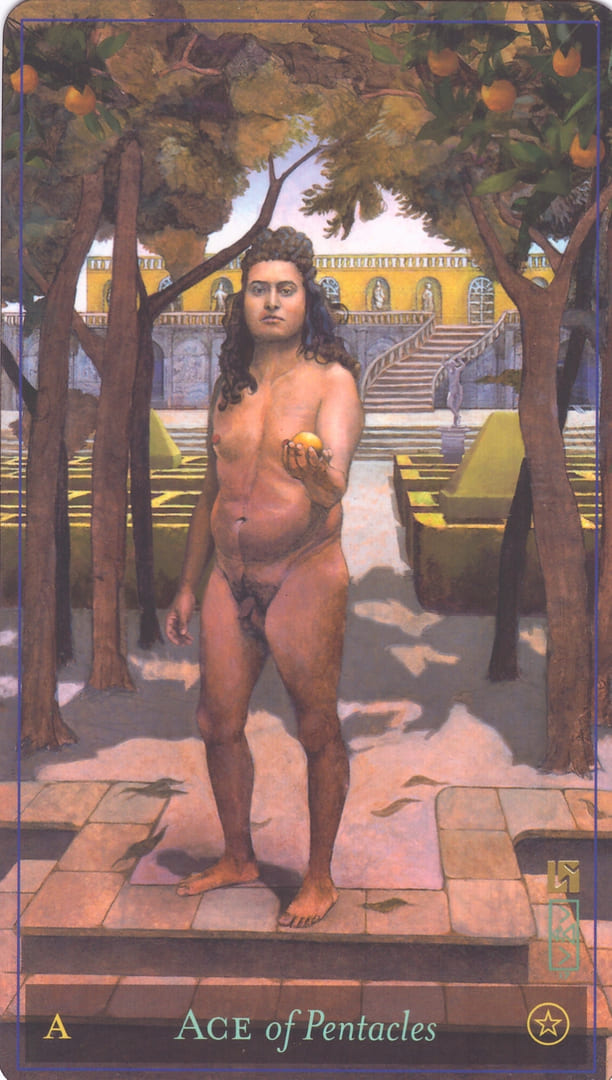 Ace of Pentacles — Divine Masculine Tarot