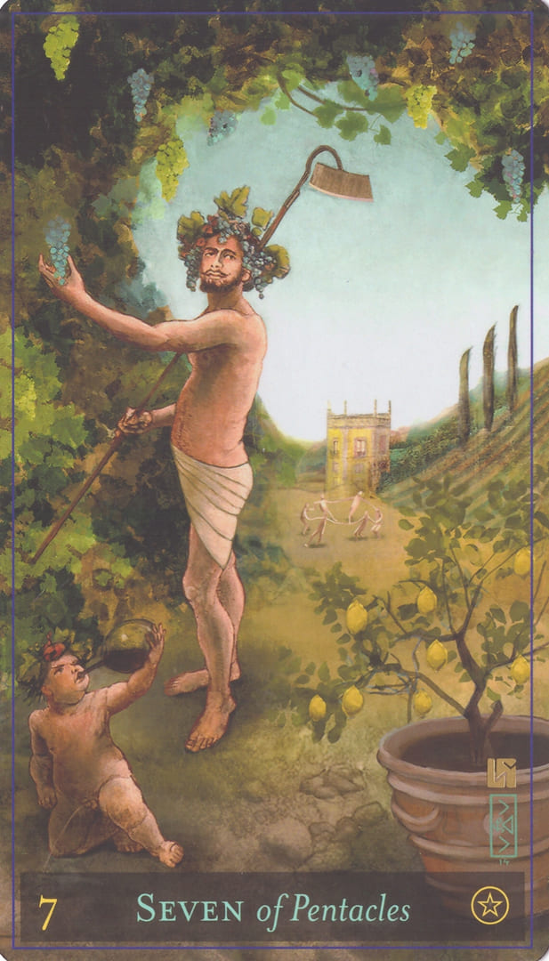 Seven of Pentacles — Divine Masculine Tarot