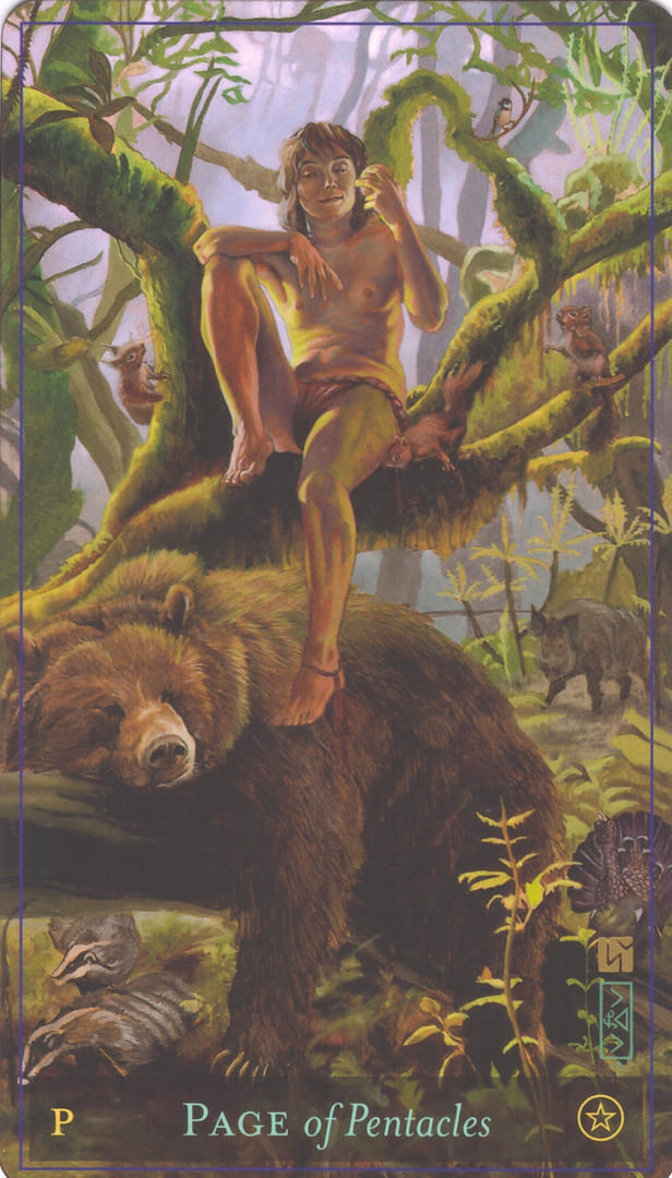 Page of Pentacles — Divine Masculine Tarot