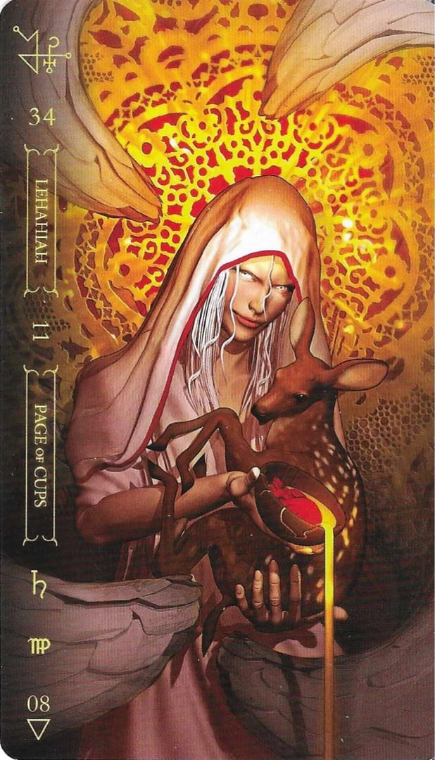 Sota de Copas — Notoria Tarot