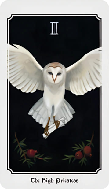 La Sacerdotisa — Anima Mundi Tarot