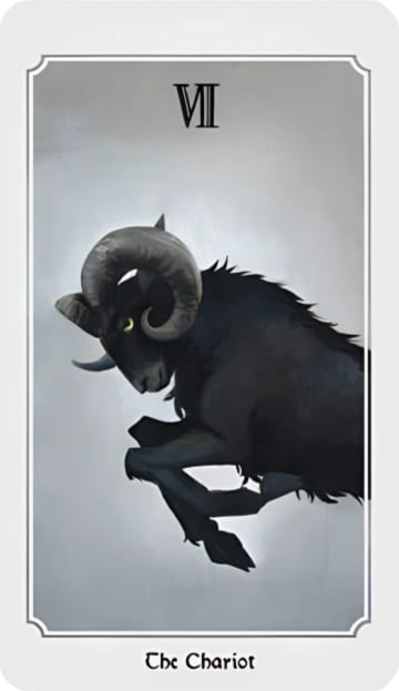 El Carro — Anima Mundi Tarot