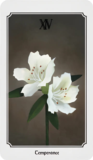 Temperance