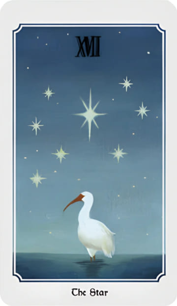 La Estrella — Anima Mundi Tarot