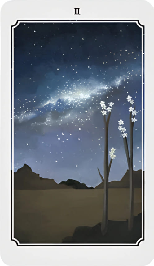 Two of Wands — Anima Mundi Tarot