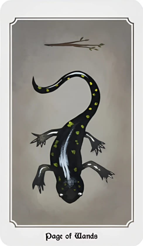 Sota de Bastos — Anima Mundi Tarot